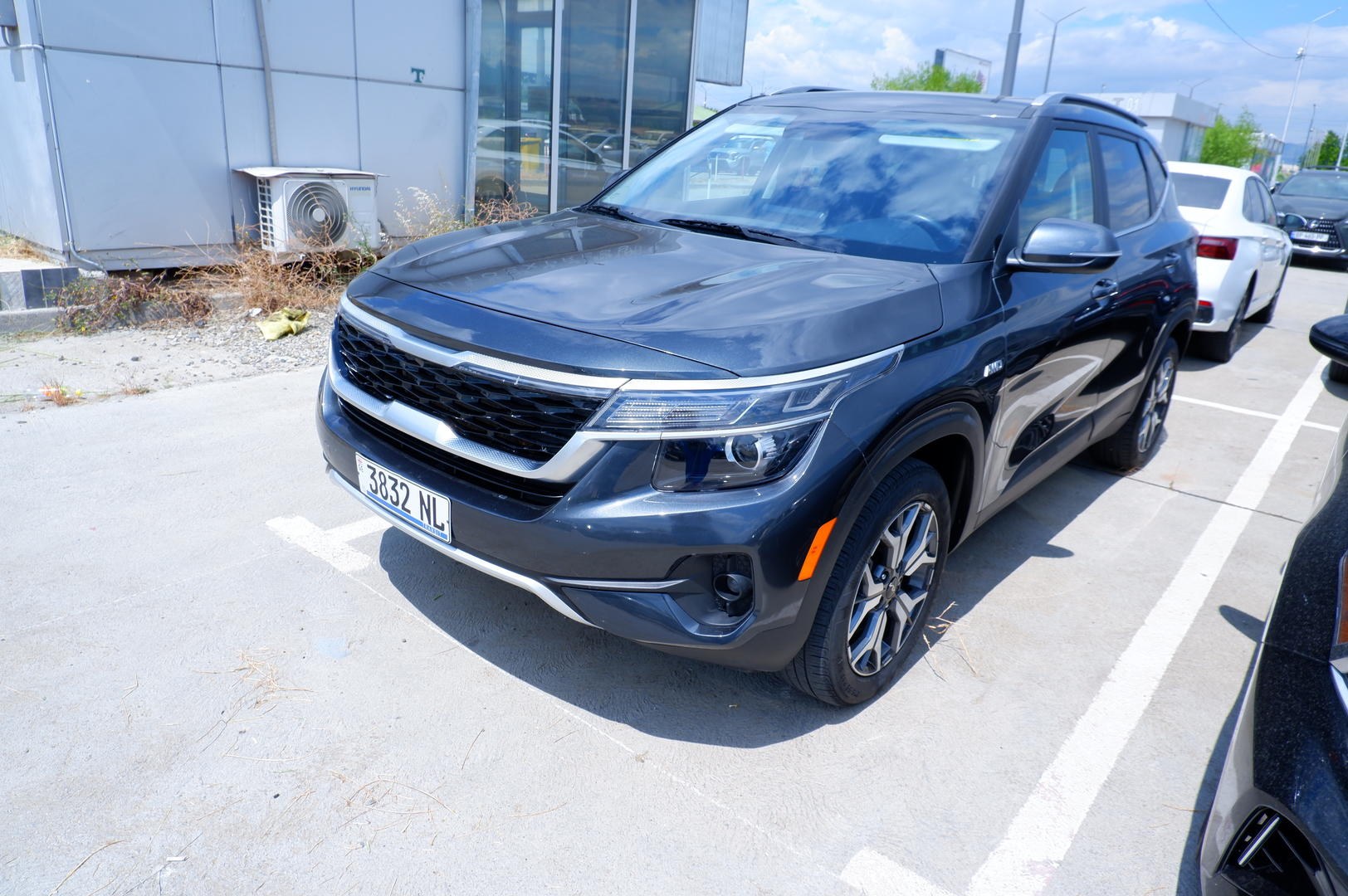 کیا سلتوس