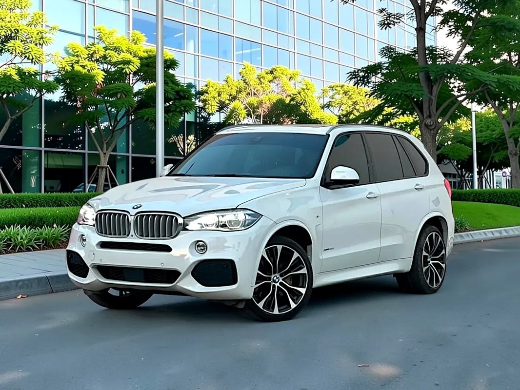 نمای دیگر بی ام و X5 xDrive50i M اسپرت 2018