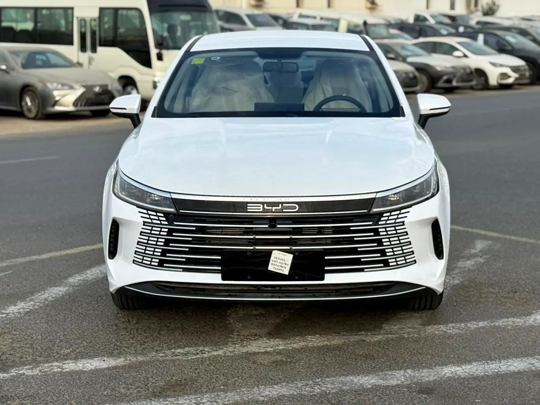 نمای دیگر بی وای دی دیسترویر 05 Other 2025