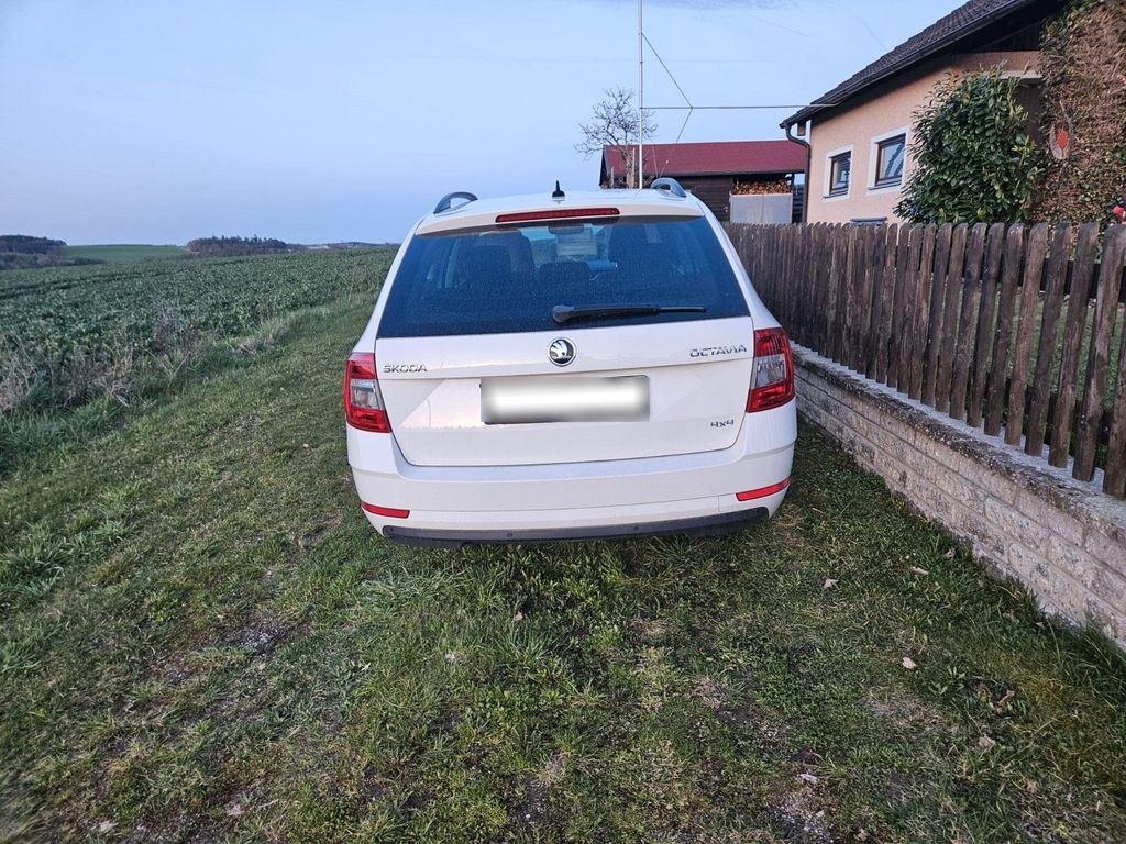 نمای دیگر اشکودا اکتاویا سولیل 4x4 2.0 TFSI چهارچرخ 1...
