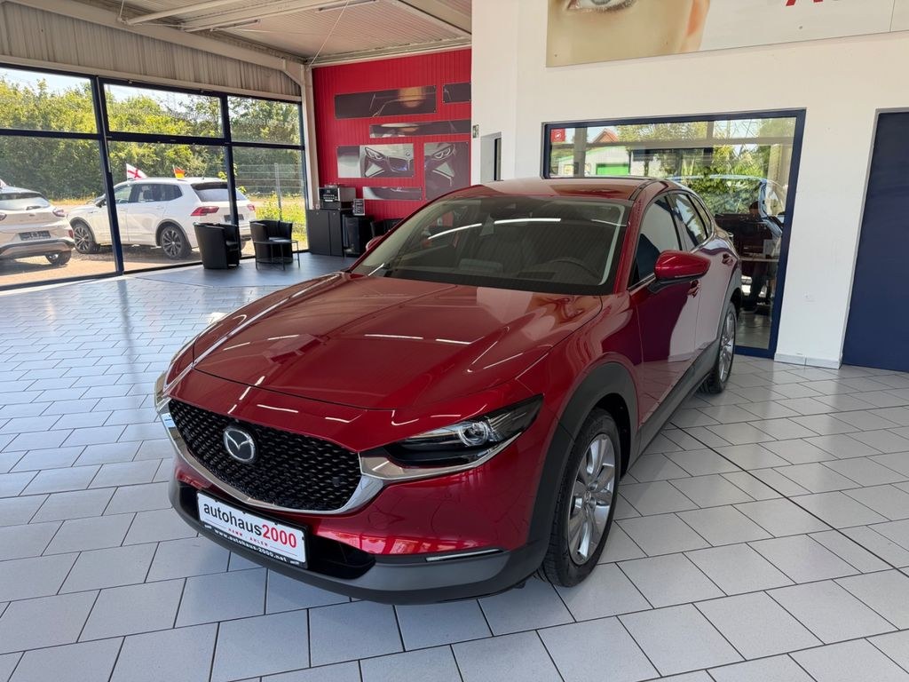 نمای دیگر مزدا CX-30 سلکشن 2WD *360 درجه *ACC *Navi