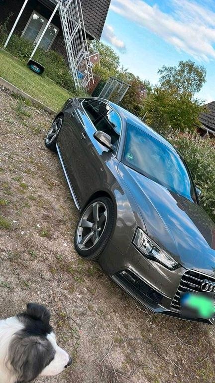 نمای دیگر آئودی A5 Sportback Sline