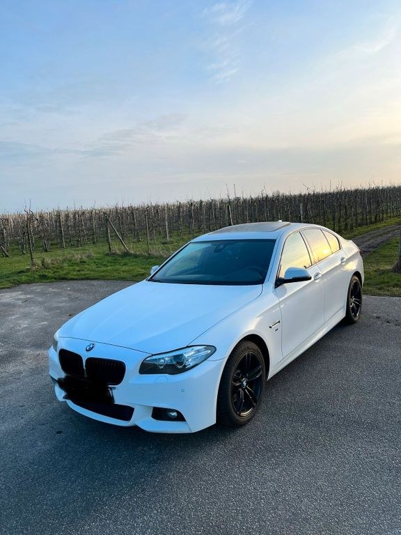 نمای دیگر بی ام و 520d f10