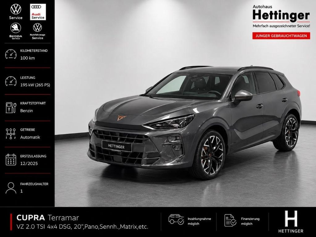کوپرا ترامار VZ 2.0 TSI 4x4 DSG، ۲۰"، پانوراما، Sennh.، مات
