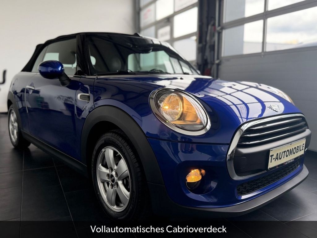 نمای دیگر مینی وان کابریو *کولر*کروز*گرمکن صندلی