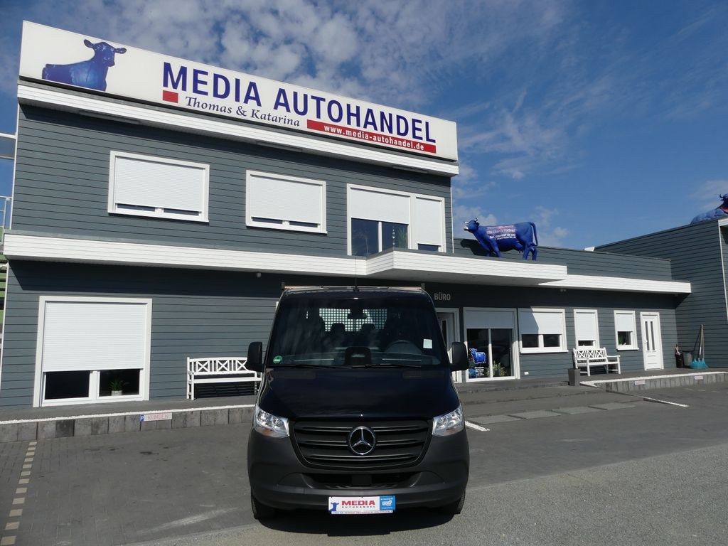مرسدس بنز اسپرینتر III باری دوکابین RWD/AWD 317 C,