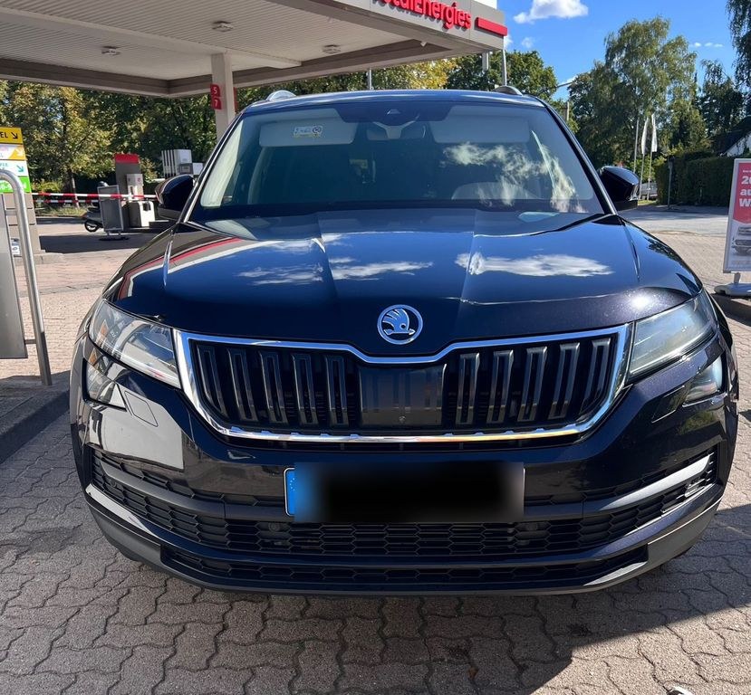 نمای دیگر اشکودا کادیاک 2.0 TDI 190 PS DSG 4x4