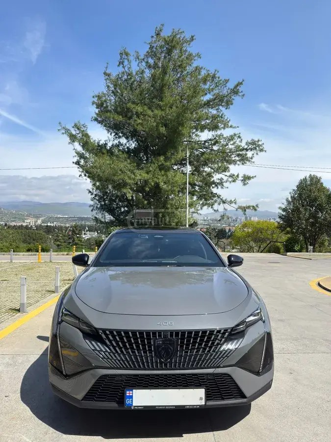 نمای دیگر پژو GT 2024