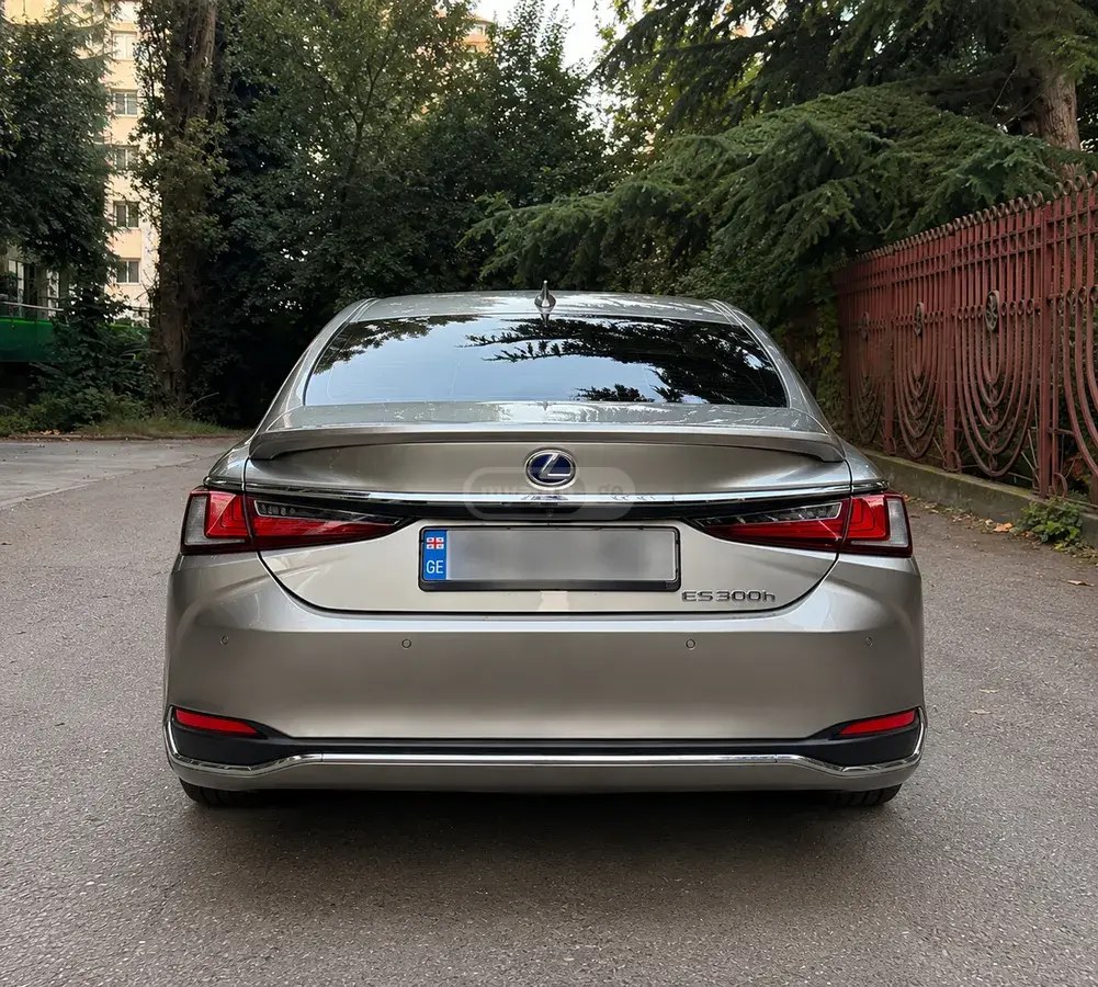 نمای دیگر لکسوس 2019
