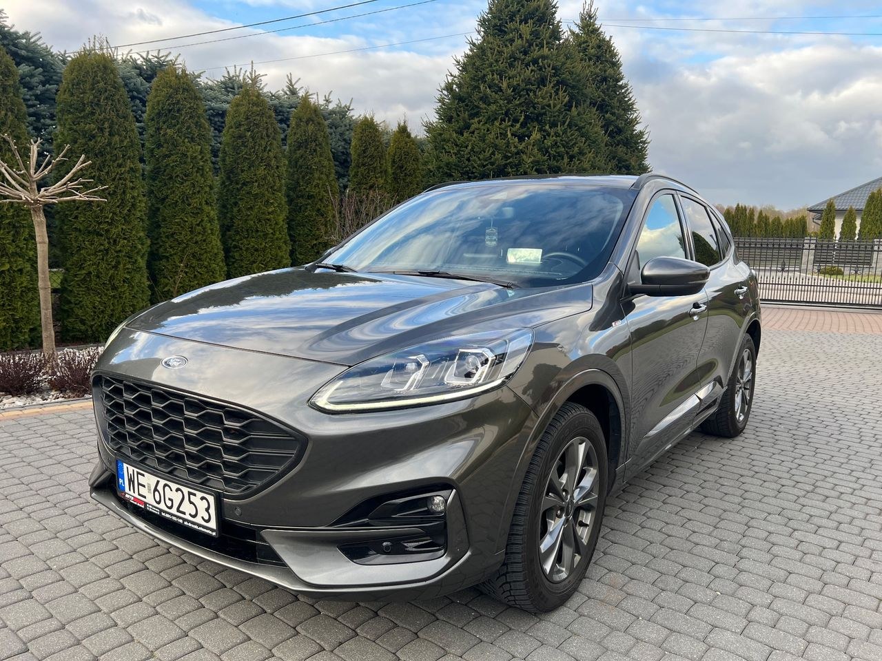 فورد کوگا 2.0 EcoBlue AWD ST-Line