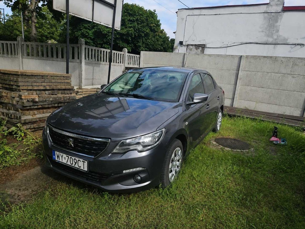 پژو 301