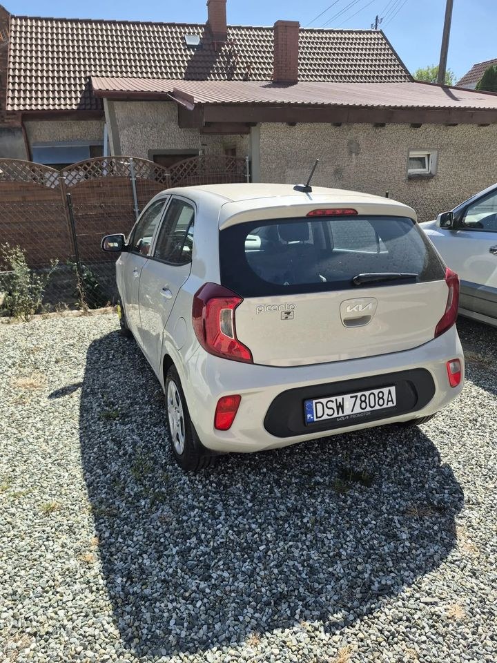 کیا پیکانتو 1.0 L بیزینس لاین