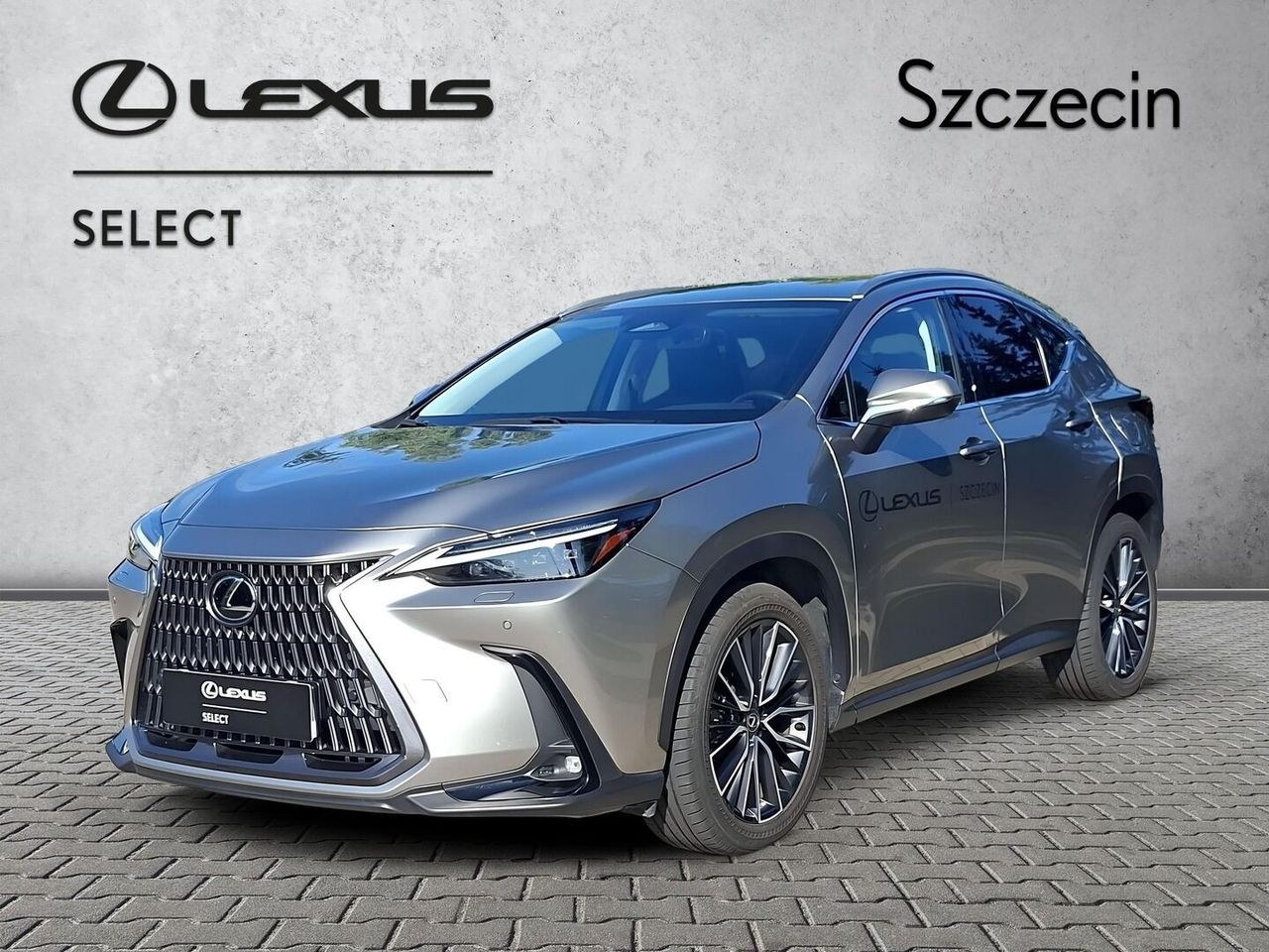 لکسوس NX