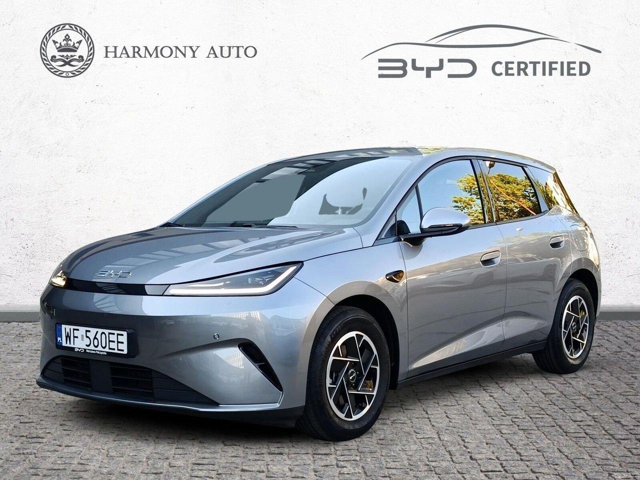 BYD دلفین